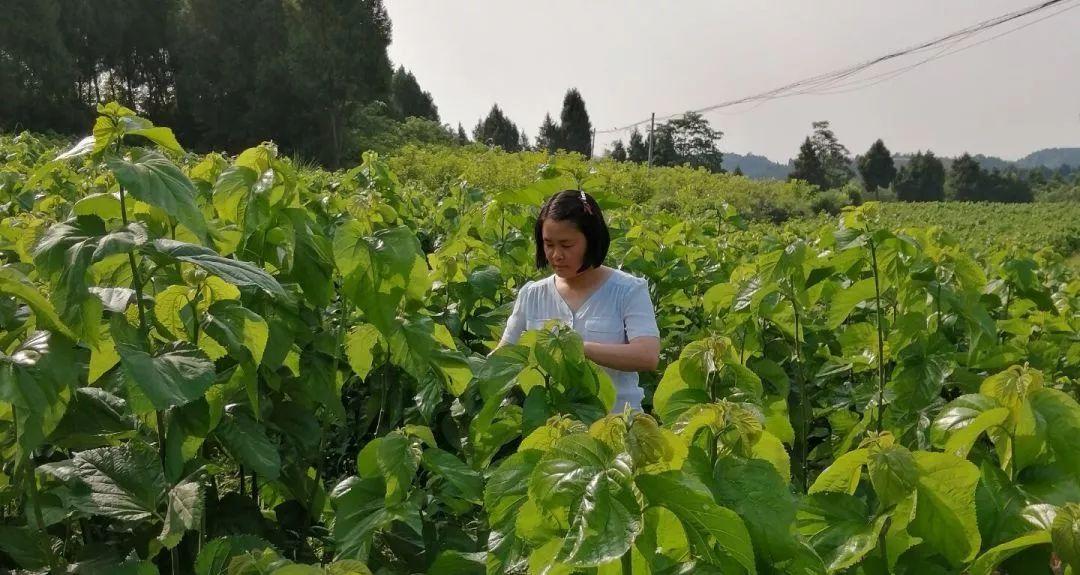 江南慕雨 第2页