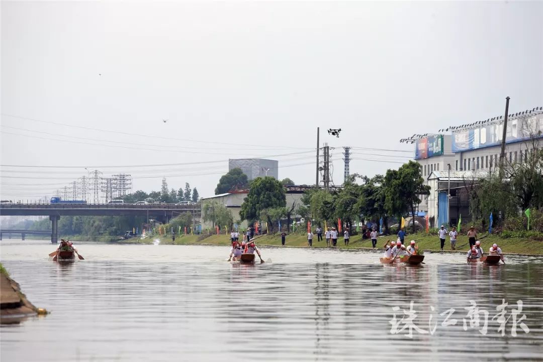 杨家河村民委员会重塑乡村，迈向繁荣新篇章