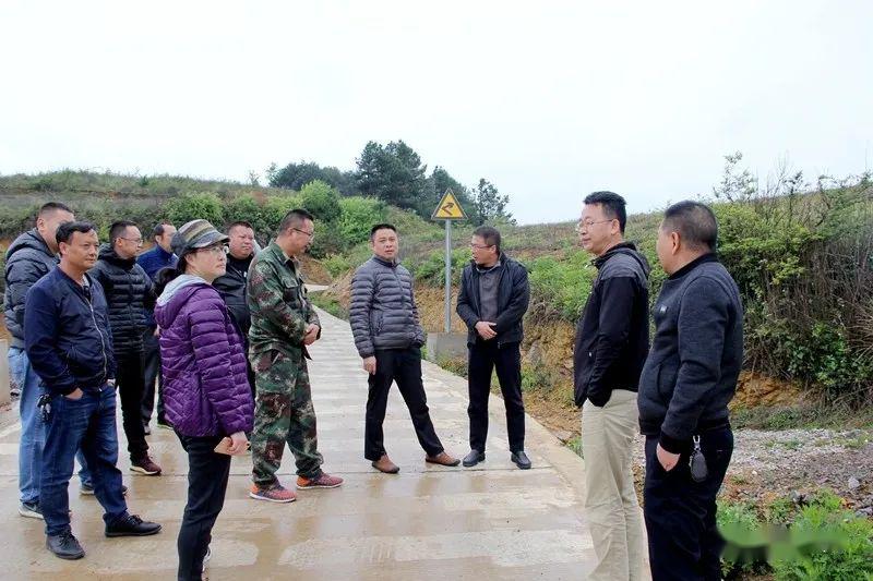 石那奴村委会新项目启动，乡村振兴新篇章开启