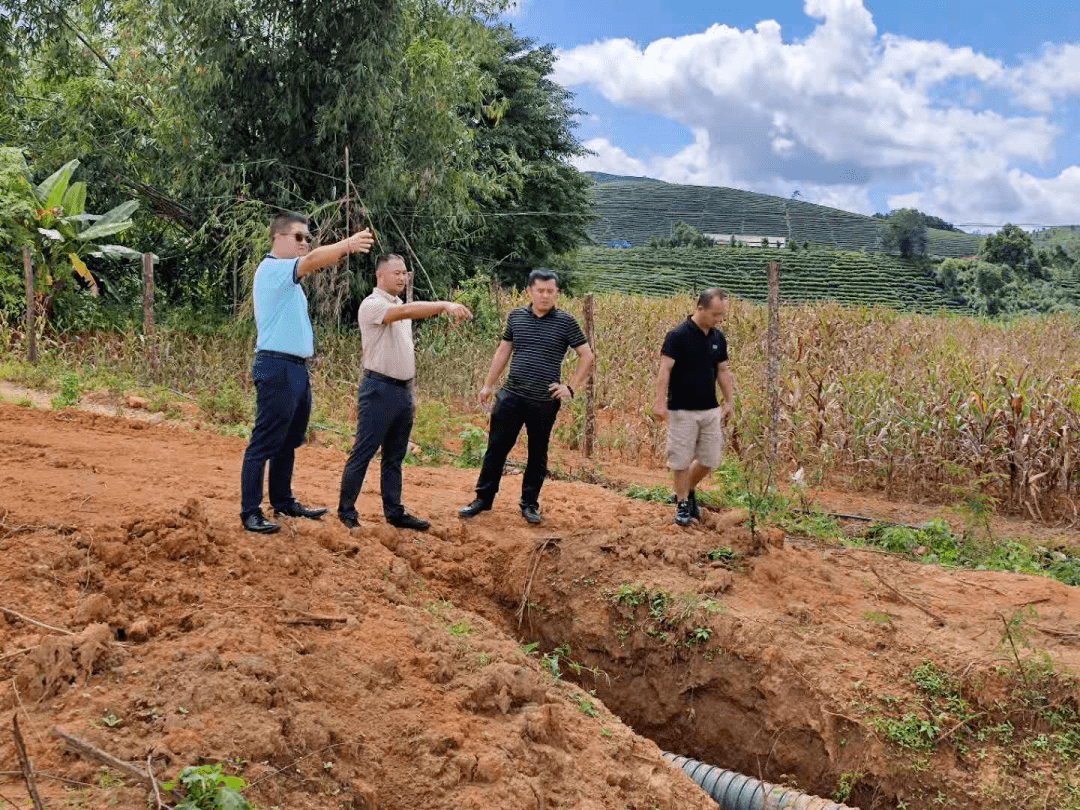 勐旺乡新项目成引领地区发展强大引擎