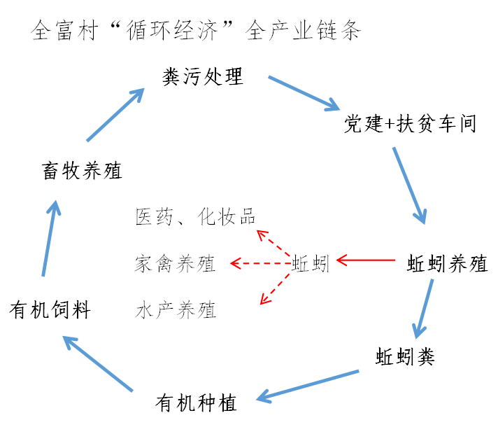 曙光镇未来繁荣蓝图，最新发展规划揭秘