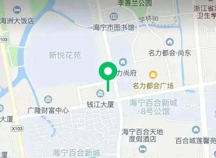 海洲街道最新发展规划概览