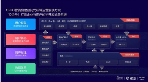 2024新澳门精准资料免费提供,迅捷解答计划执行_界面版55.128