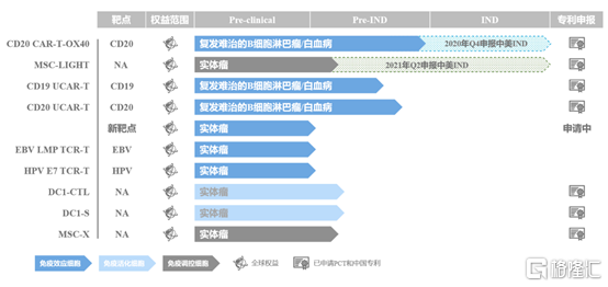 香港精准最准资料免费,数据引导设计策略_潮流版45.203