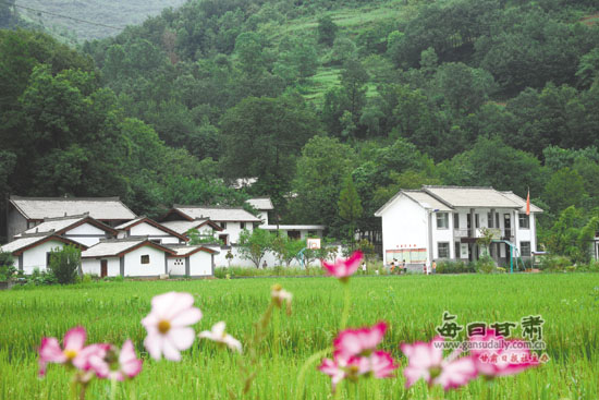 南峪乡最新新闻报道