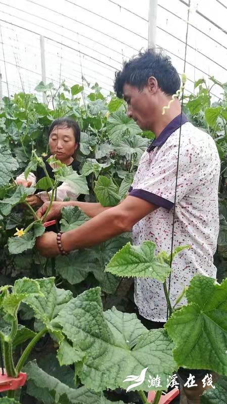 站北村委会最新动态报道