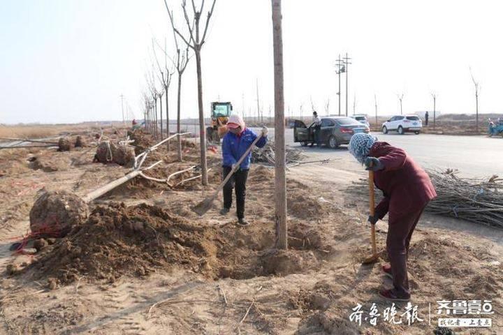 海昌街道最新发展规划概览