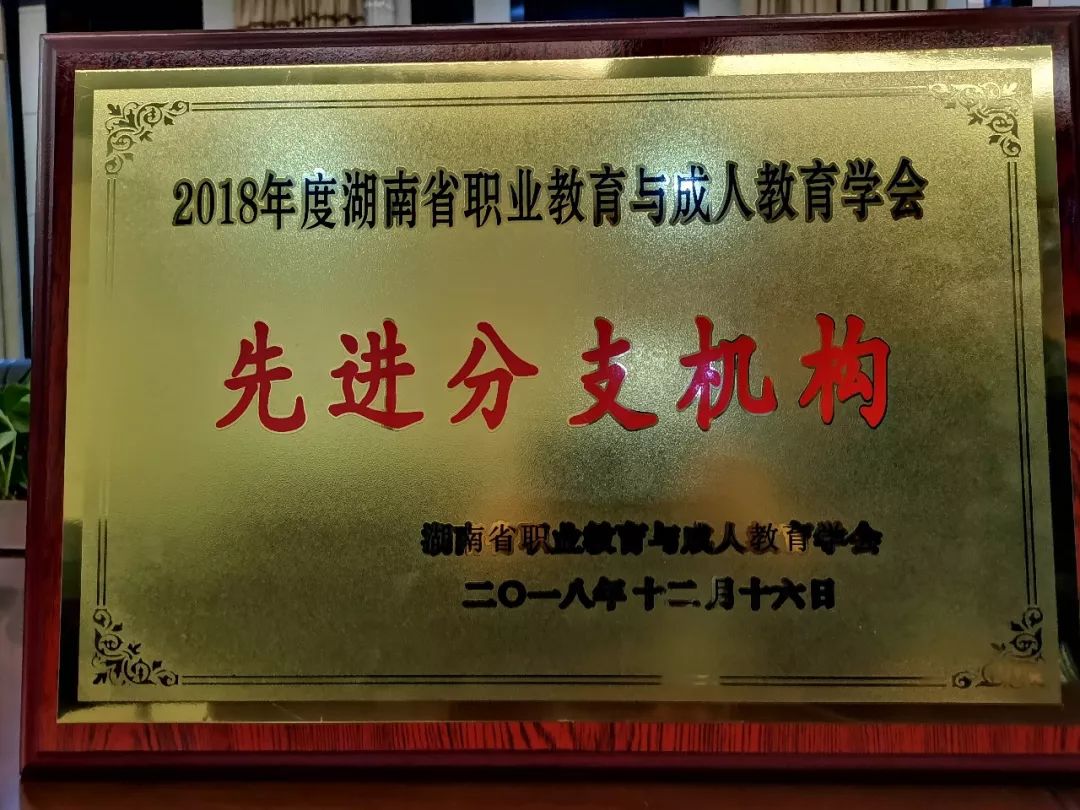 白沙黎族自治县成人教育事业单位领导团队引领教育改革与发展新篇章