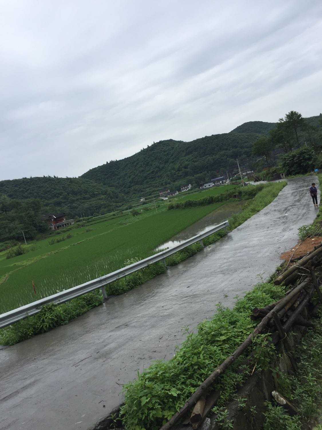 下城村天气预报更新通知