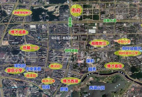 枫林村天气预报更新通知