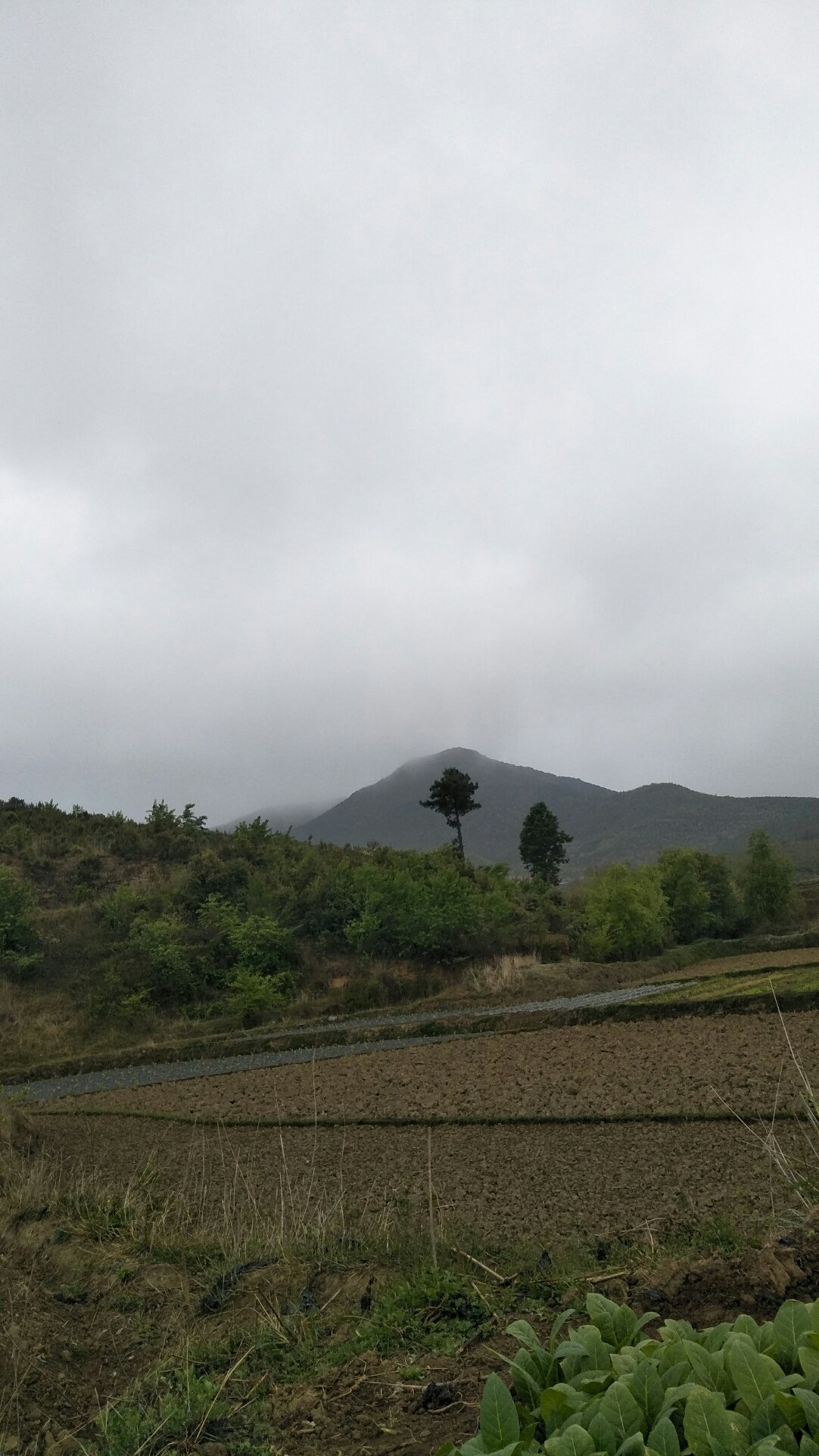 朵门村天气预报更新通知