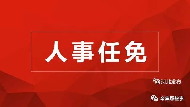 辛集市人民政府办公室人事任命新成员